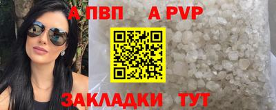 стаф Бердск
