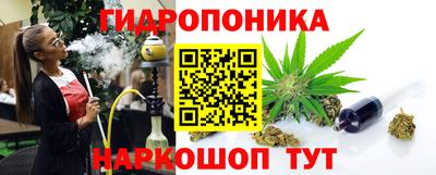 стаф Бердск